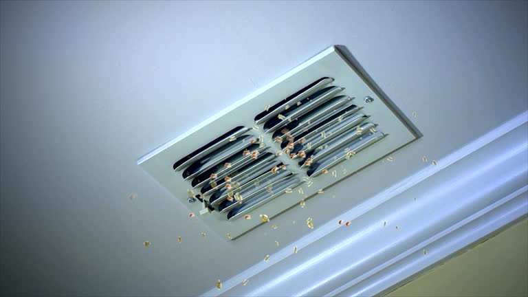 Best Commercial HVAC Duct Cleaning  in Prior Lake, MN
