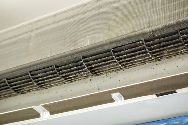 Best Air Vent Cleaning Services  in Prior Lake, MN